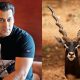 salman-khan-black-buck-poaching-case980ab-1458290214_980x457