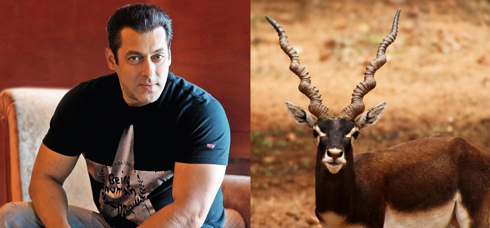 salman-khan-black-buck-poaching-case980ab-1458290214_980x457