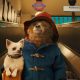 paddington-2