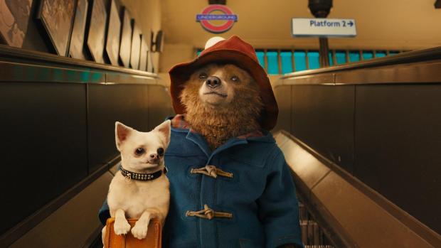 paddington-2