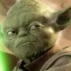 yoda