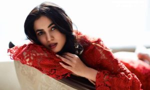 sonal chauhan music video