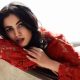 sonal chauhan music video