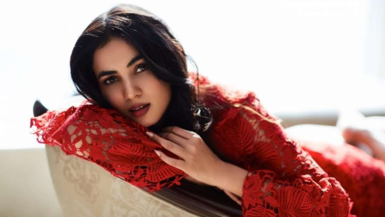 sonal chauhan music video