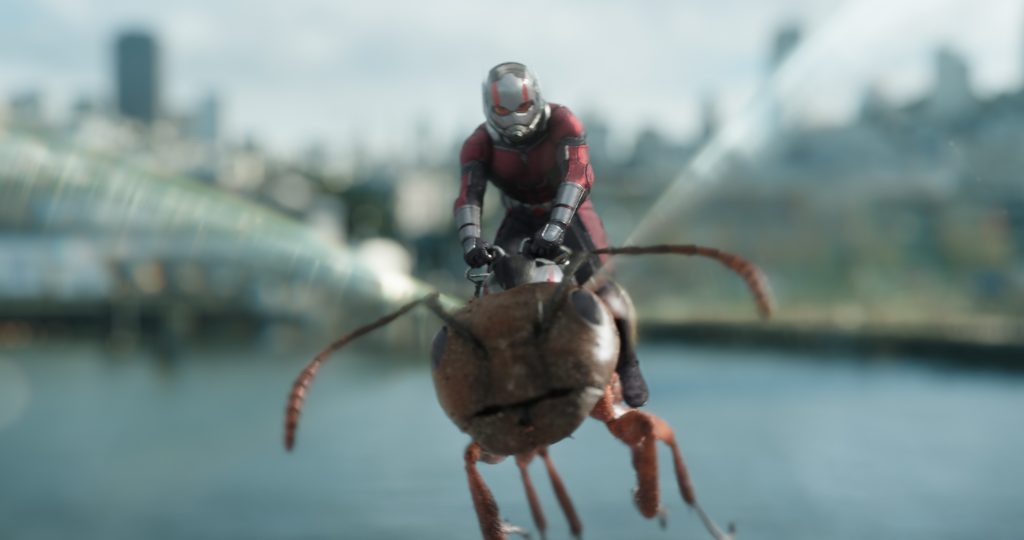 Marvel Studios ANT-MAN AND THE WASP..Ant-Man/Scott Lang (Paul Rudd)..Photo: Film Frame..©Marvel Studios 2018