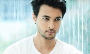 Aayush Sharma To Be Back On Silver Screen And This Time As An Army Officer