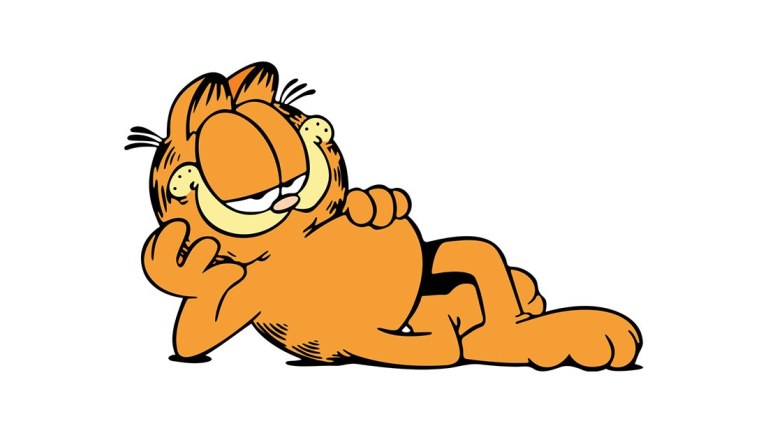 garfield-is-perfect