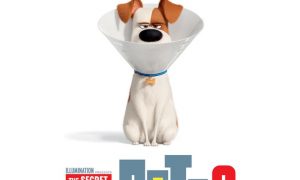 The Secret Life Of Pets