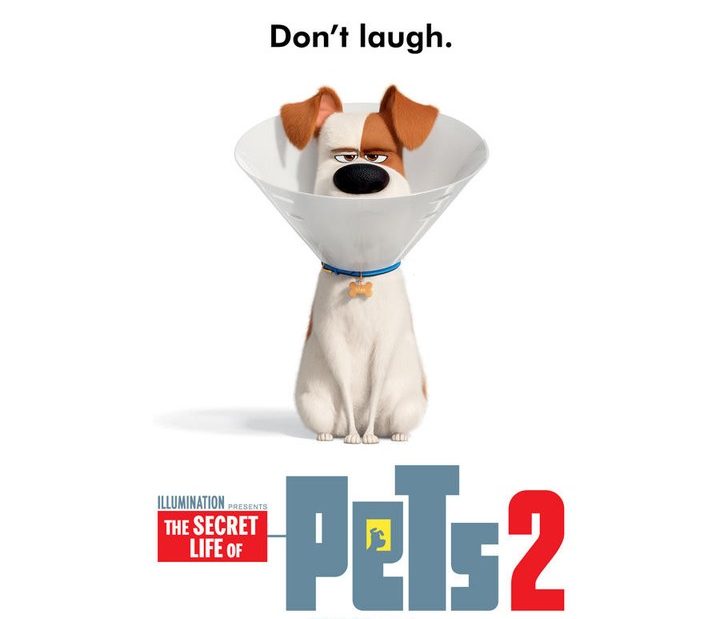 The Secret Life Of Pets