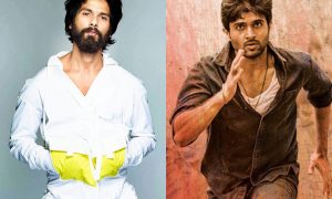 Shahid Kapoor Says No To Featuring In The Remake Of Dear Comrade?